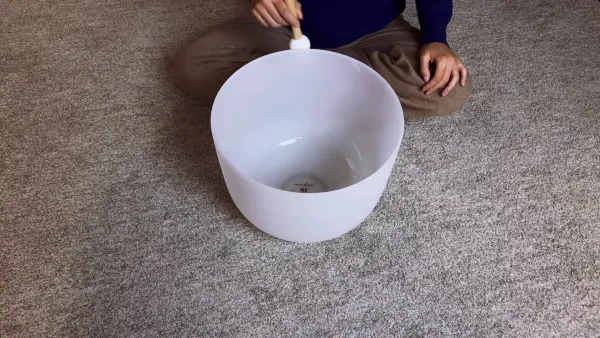 Bol Frosted 14", imagine din video
